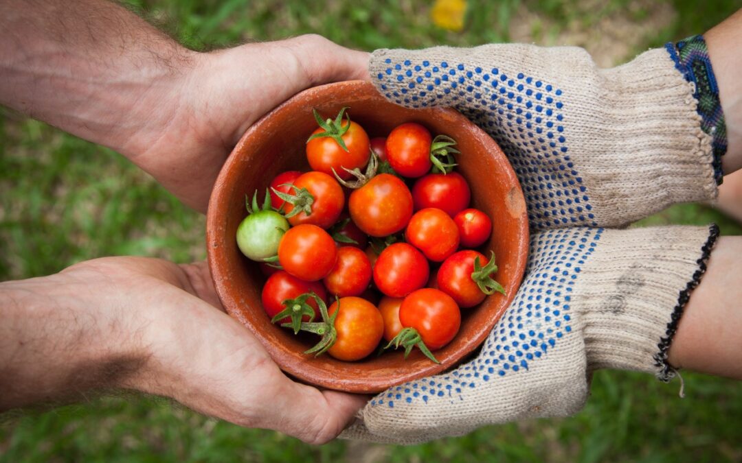 Una alimentación adecuada es una alimentación con conciencia.